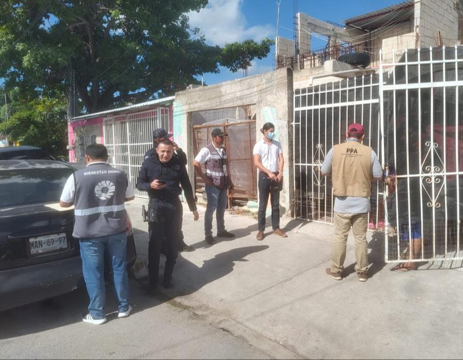 uploads/6/32/01 (772).Jpeg